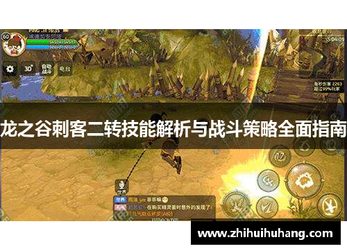 龙之谷刺客二转技能解析与战斗策略全面指南