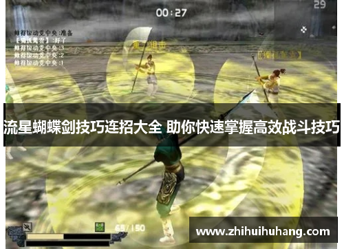 流星蝴蝶剑技巧连招大全 助你快速掌握高效战斗技巧